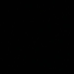 Meet your Posher, Elliott